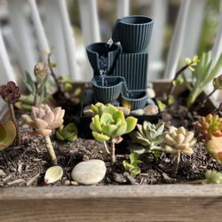 Mini Water Fountain Succulents Box