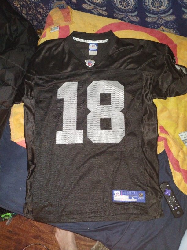 Authentic Randy Moss Raiders Jersey