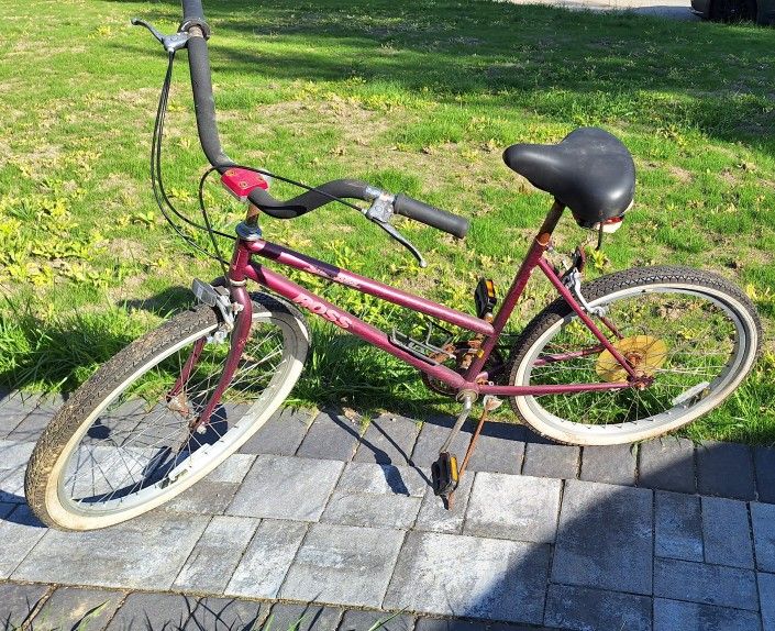 Girl's 5 Speed bike