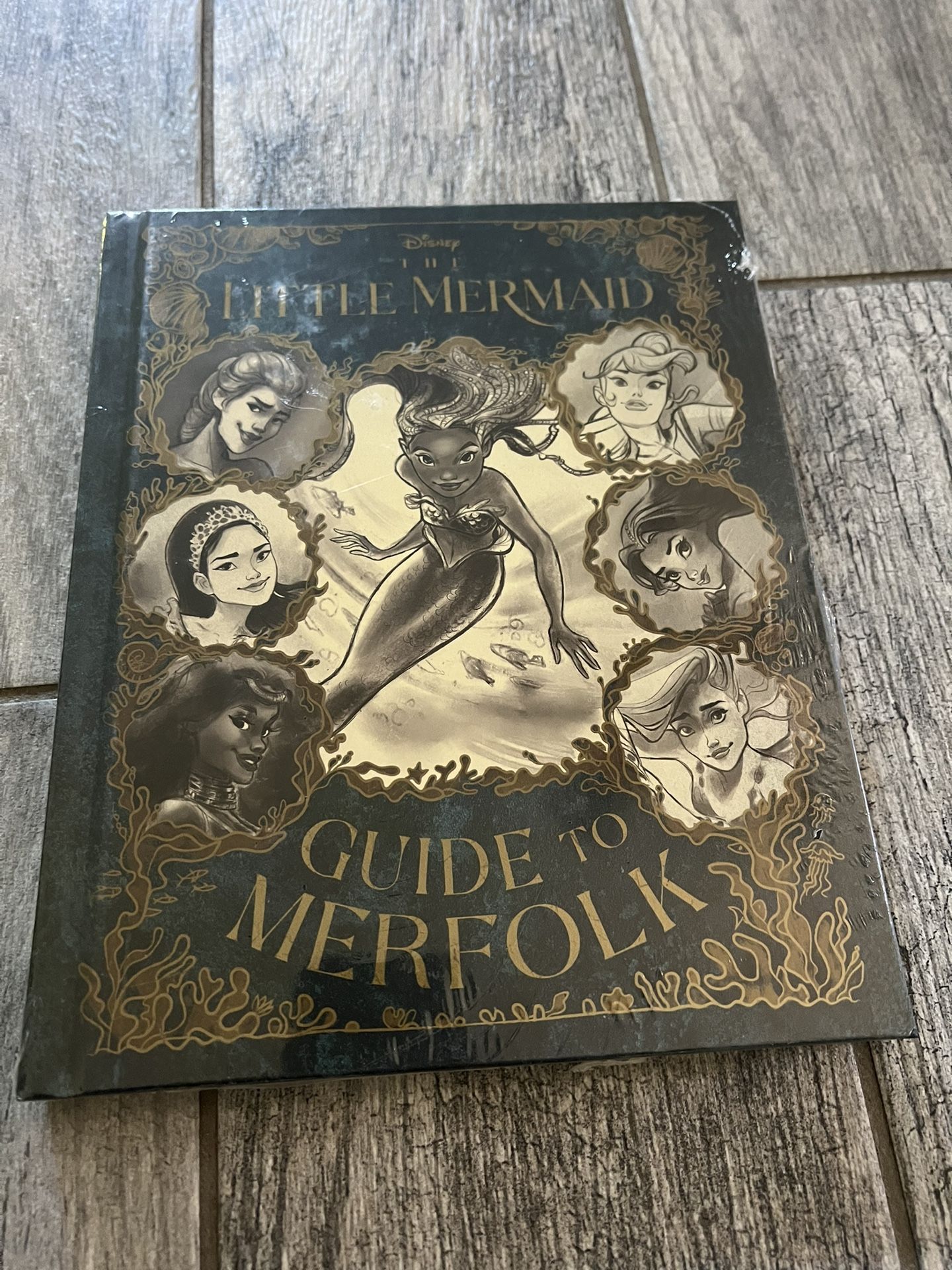 Kids Hardcover Book. Not Opened. See Amazon Picture For Reference.