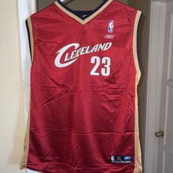Lebron James Kids Xl Jersey