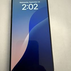 IPhone 14 Pro Max (256 GB) Factory Unlocked