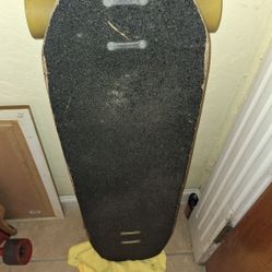 Long Board Rayne 