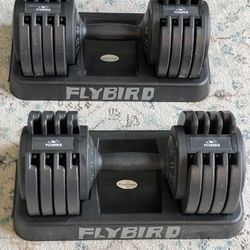 FlyBird Adjustable Dumbbells 55lbs 