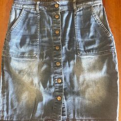 LL Bean Denim Skirt 