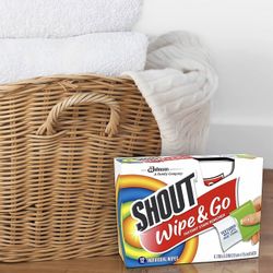 Brand New SHOUT Wipe & Go- 6 x 12 Count; 72 Total (still sealed in box !)