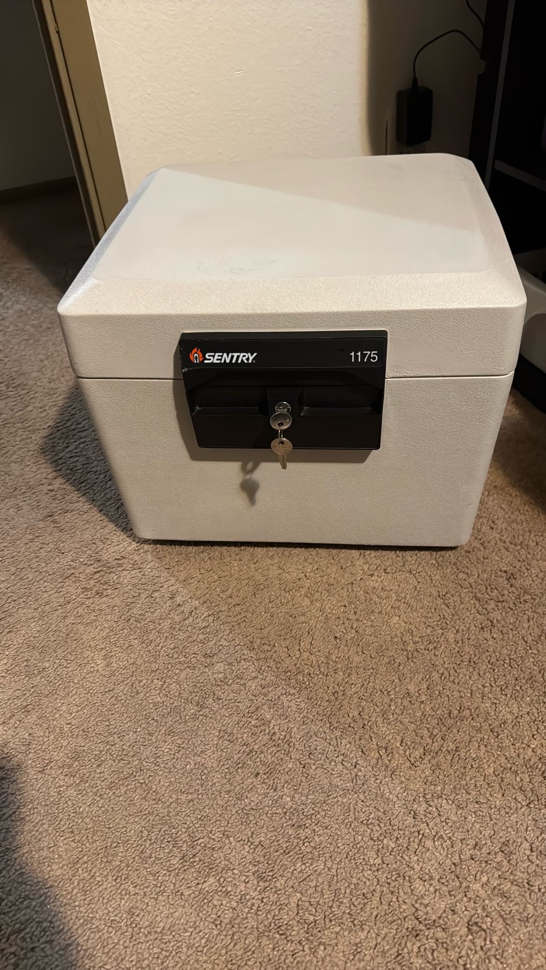 Sentry Waterproof/ Fire Proof Safe