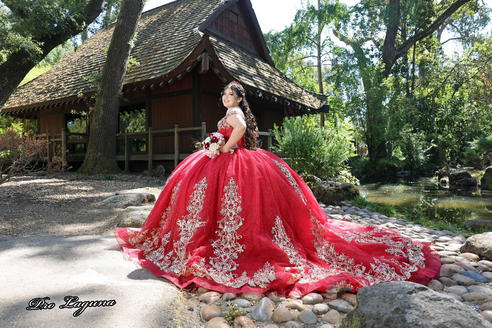 Quinceañera Dress Princesa De Adriana Vera 