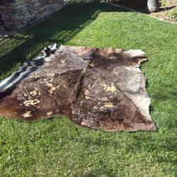 real cow Hide