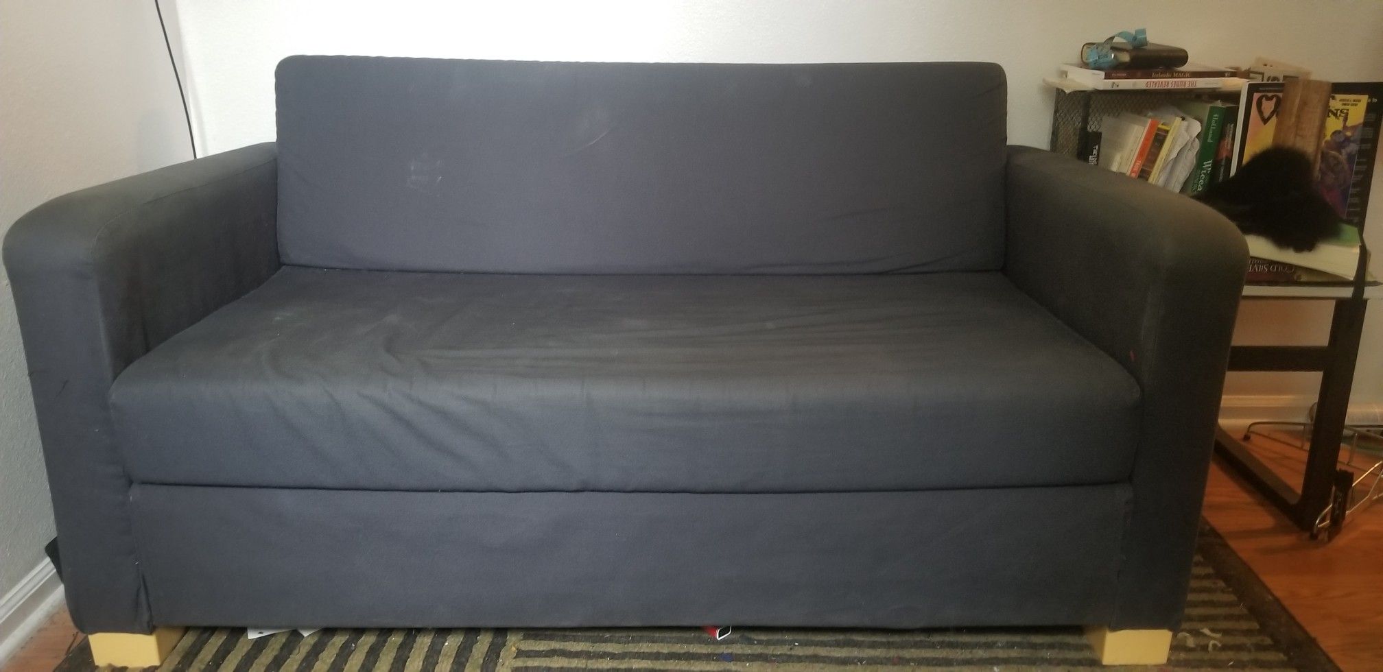 Ikea Solsta sleeper sofa