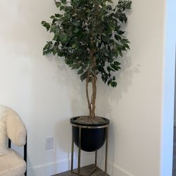 West Elm Fake Plants & Pots 