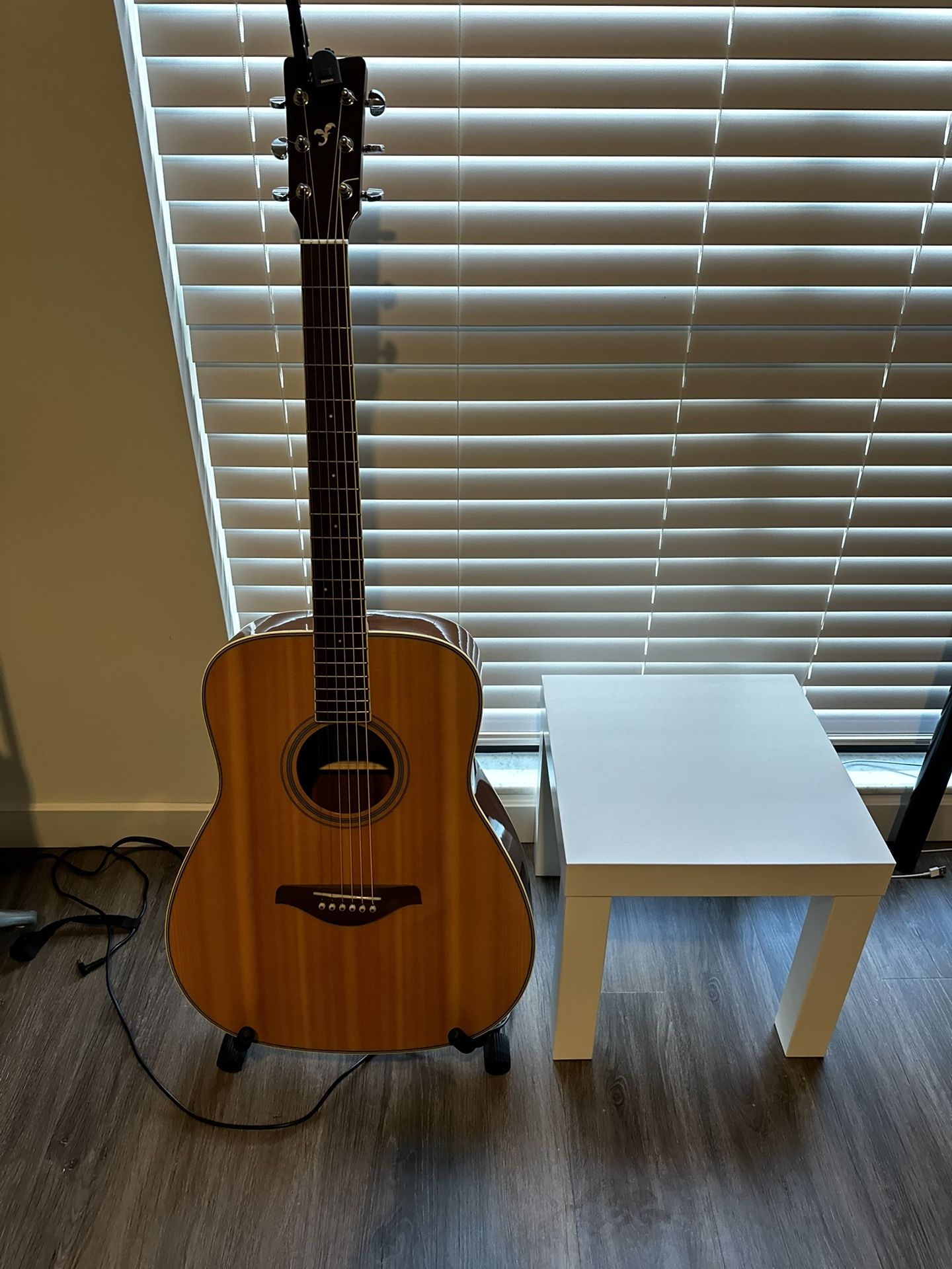 Left handed guitar