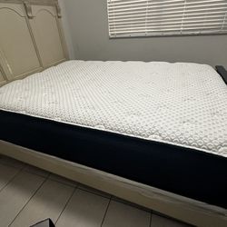 Queen Bed For Sale Box spring free