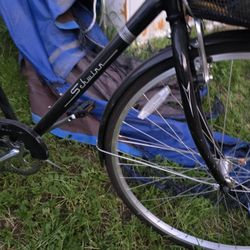 Schwinn Bike With Basket 