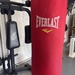 Punching Bag 