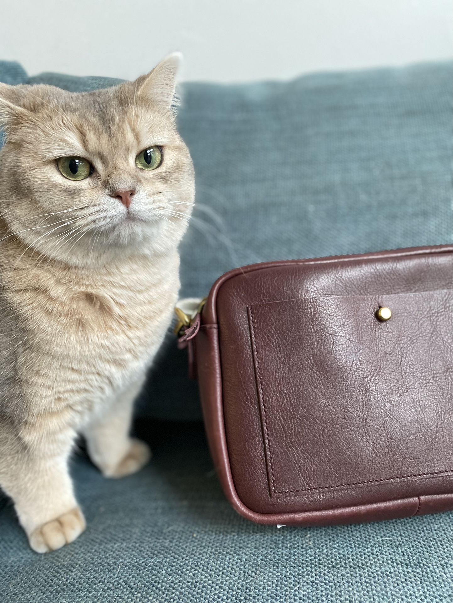 Bag