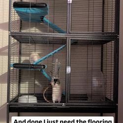 Rat cage