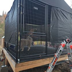 Kennel