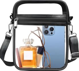Transparent Hobo Bag