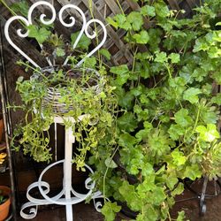 Vintage Plant Stand With Plant 