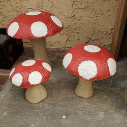 Mushrooms for sale