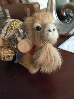 Camel