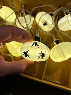 Spider String Lights