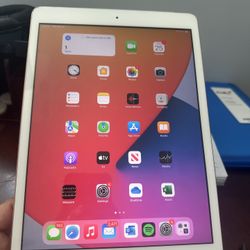 iPad 7th Generation- 128gb - WiFi + Cellular