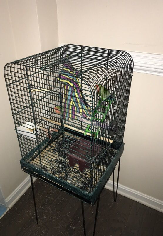 Bird cage