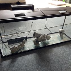 55 Gallon Fish tank Aquarium