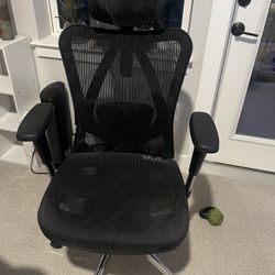 Ergonomic Office Chair 