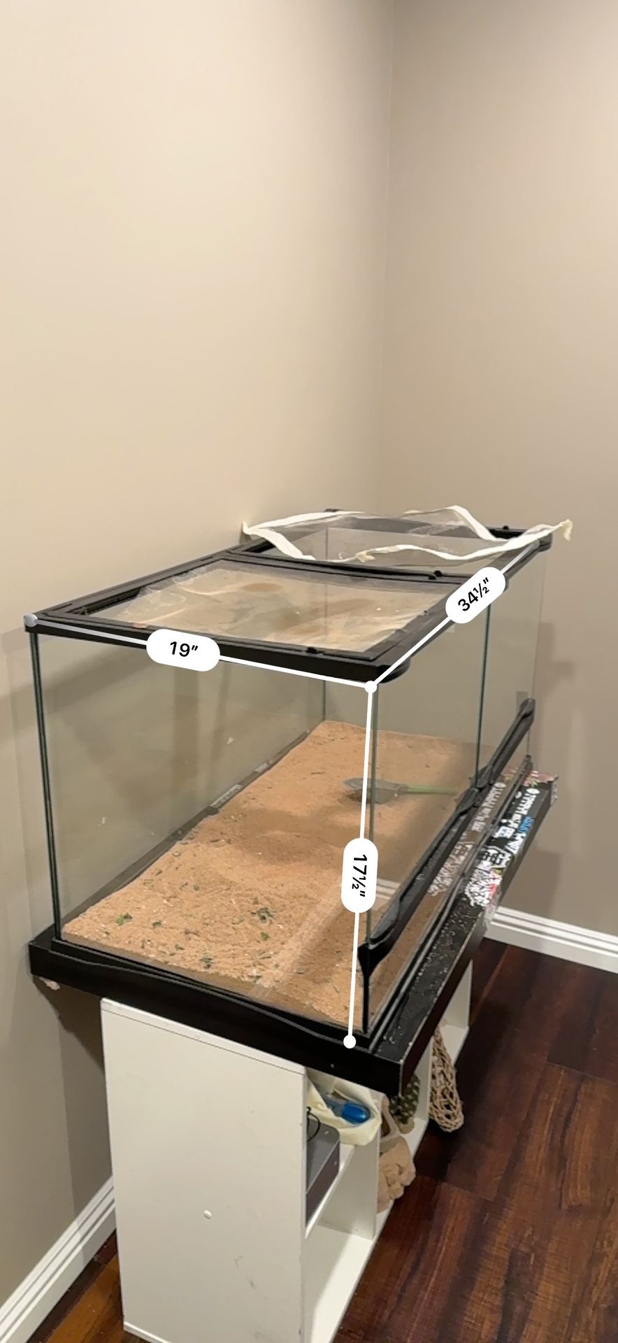 Bearded dragon Starter bundle