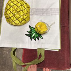 Dog Pineapple Costume