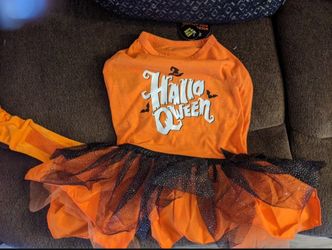 Doggy Halloween Costume