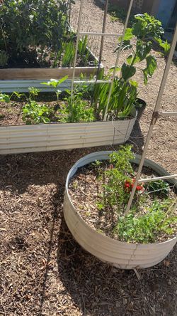 Raised garden bed