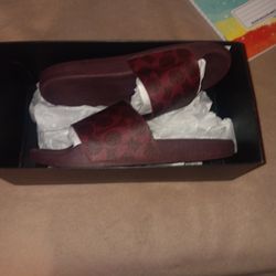 Coach Slids Daughter Didn't Want Them 