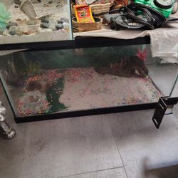 2 Pet (Lizard, Etc) Tanks Plus Supplies