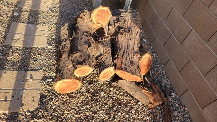 Fire wood - mesquite