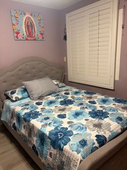 Queen Bed and mattress