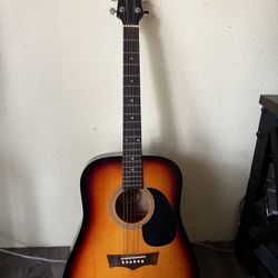 Peavey Acoustic Guitar And Soft Shel Case 