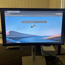 DELL MONITOR 