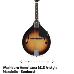 Washburn M1S A Style Mandolin 