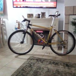 New Belgium Race Mountain Bike 