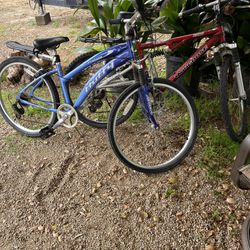 2 Bicicletas Roja Y Azul 