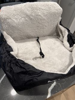 Dog Car Seat & Clothes