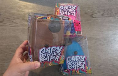 Capybara Squishy Toy