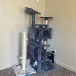 Cat Condo & Scratcher