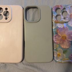iPhone 16 Pro Max Cases 
