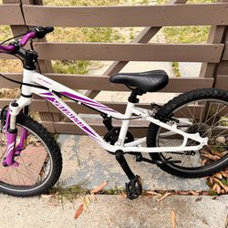 Specialized Hardrock Bike For Girls Boys Kids 20 Inch 