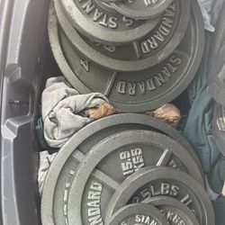 Weights and Bars